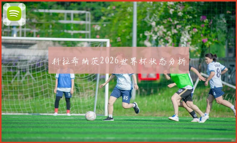 科拉希纳茨2026世界杯状态分析