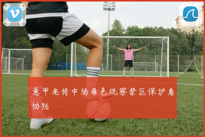 意甲老将中场角色观察禁区保护看协防