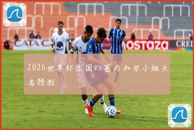 2026世界杯法国vs塞内加尔小组头名预测